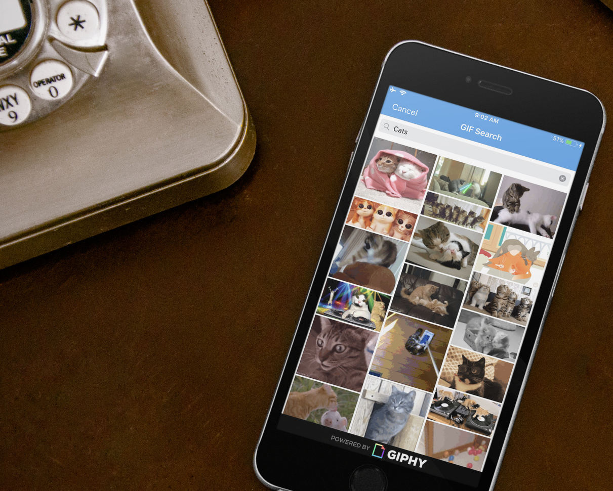 Cipchat for iOS displaying GIF search results